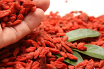 Goji
                                                           
                                    ECO