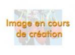 MAQUI GELULE - Pot de 60