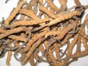 CORDYCEPS SAUVAGES<br>10 Grammes
