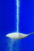 XYLITOL - SUCRE DE BOULEAU 10 kg