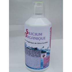 SILICIUM ORGANIQUE FORMULE GLOBAL