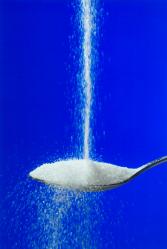 XYLITOL - SUCRE DE BOULEAU 10 kg